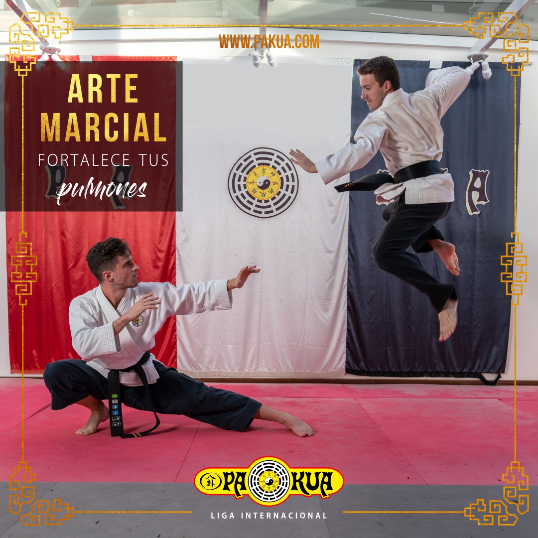 arte marcial - defensa personal